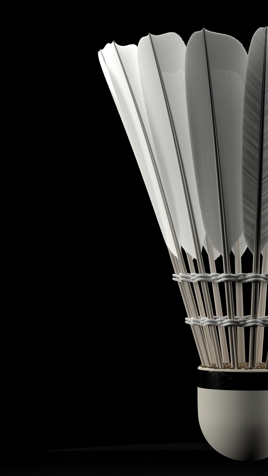 并且展示了 并且展示了