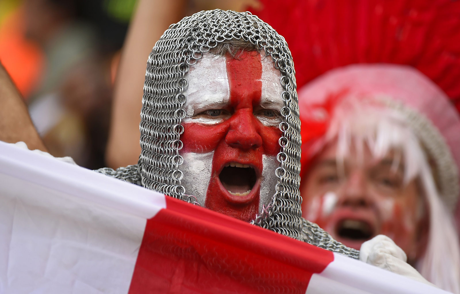 不仅展示了 不仅展示了