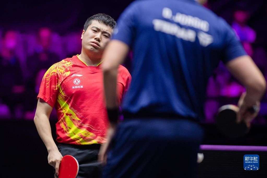 全球忠实粉 全球忠实粉