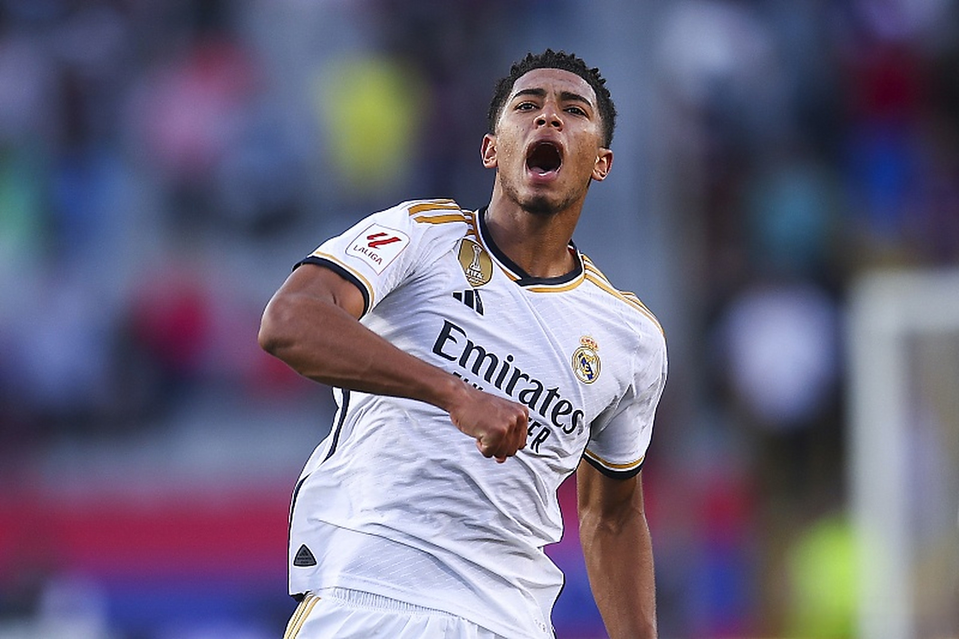 的无疑是三 的无疑是三